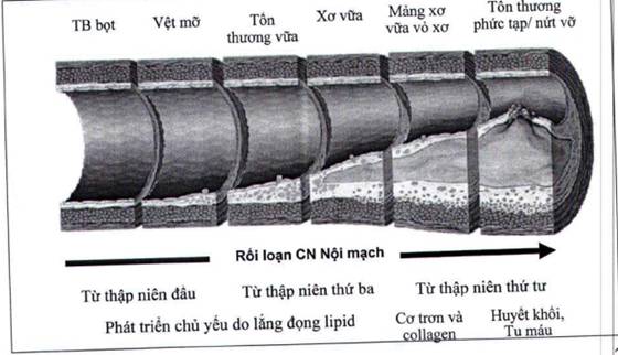 Description: https://cms.luatvietnam.vn/uploaded/Images/Original/2019/06/18/image002_1806173006.jpg