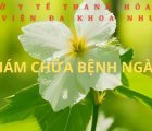 DANH SÁCH PHÂN CÔNG KHÁM, CHỮA BỆNH NGÀY NGHỈ, NGÀY LỄ TUẦN THỨ 27 NĂM 2025